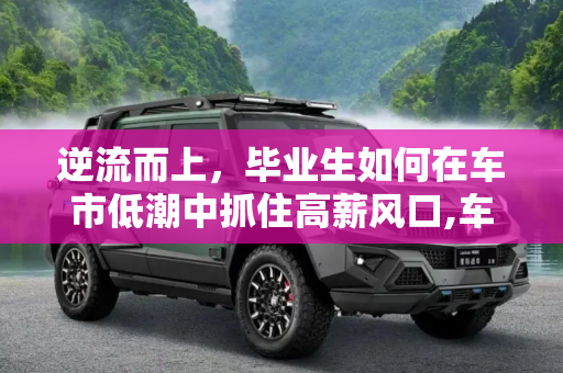 逆流而上，毕业生如何在车市低潮中抓住高薪风口,车市低潮 毕业生如何追上高薪风口？