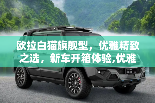 欧拉白猫旗舰型，优雅精致之选，新车开箱体验,优雅精致之选 新车开箱欧拉白猫旗舰型