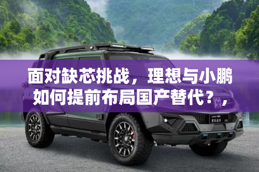 面对缺芯挑战，理想与小鹏如何提前布局国产替代？,面对缺芯 理想/小鹏提前布局国产替代