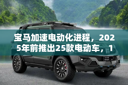 宝马加速电动化进程，2025年前推出25款电动车，12款为纯电动,12款纯电动 宝马2025年前推25款电动车