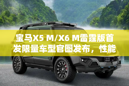 宝马X5 M/X6 M雷霆版首发限量车型官图发布，性能与奢华的完美结合,宝马X5 M/X6 M雷霆版首发限量车型官图