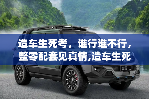 造车生死考，谁行谁不行，整零配套见真情,造车生死考|谁行谁不行 整零配套见真情
