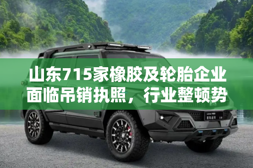 山东715家橡胶及轮胎企业面临吊销执照，行业整顿势在必行,山东715家橡胶及轮胎企业将被吊销执照