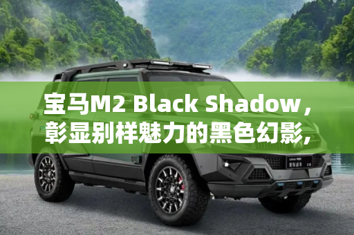 宝马M2 Black Shadow，彰显别样魅力的黑色幻影,彰显别样魅力 宝马M2 Black Shadow官图