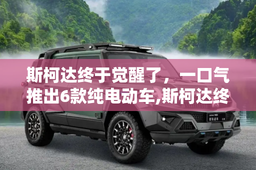 斯柯达终于觉醒了，一口气推出6款纯电动车,斯柯达终于觉醒了 一口气推6款纯电动车