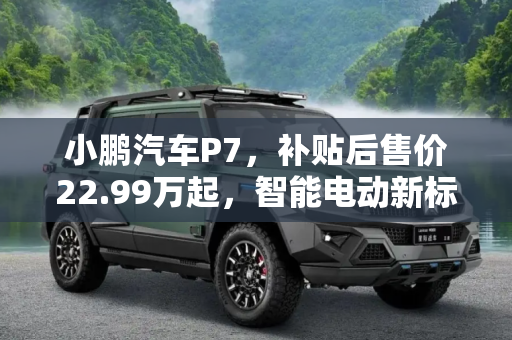 小鹏汽车P7，补贴后售价22.99万起，智能电动新标杆,补贴后售价22.99万起 小鹏汽车P7上市