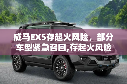 威马EX5存起火风险，部分车型紧急召回,存起火风险 部分威马EX5车型遭召回