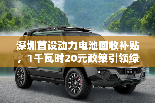 深圳首设动力电池回收补贴，1千瓦时20元政策引领绿色能源新风尚,1千瓦时20元 深圳首设动力电池回收补贴