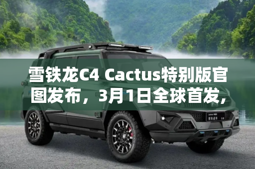 雪铁龙C4 Cactus特别版官图发布，3月1日全球首发,3月1日首发 雪铁龙C4 Cactus特别版官图