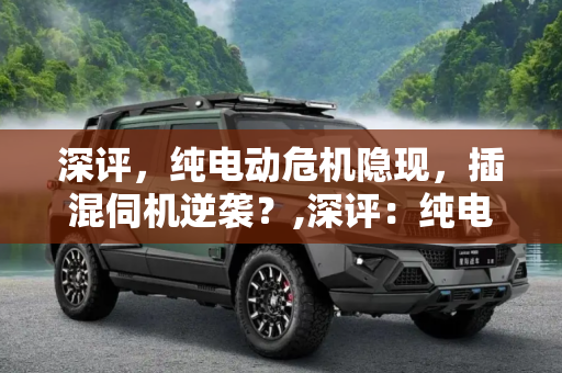 深评，纯电动危机隐现，插混伺机逆袭？,深评：纯电动危机隐现 插混伺机逆袭？