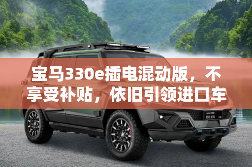 宝马330e插电混动版，不享受补贴，依旧引领进口车市,不享受补贴 宝马330e插电混动版将进口