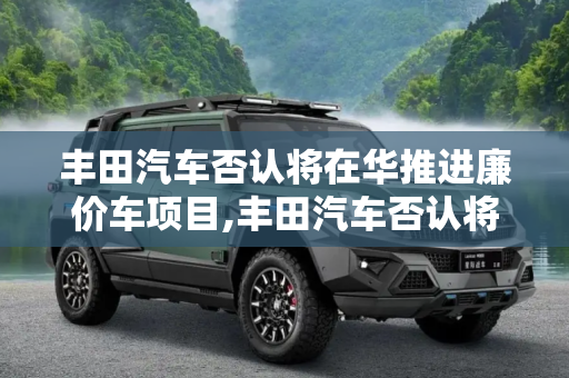 丰田汽车否认将在华推进廉价车项目,丰田汽车否认将在华推进廉价车项目