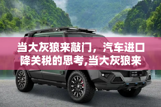 当大灰狼来敲门，汽车进口降关税的思考,当大灰狼来敲门，汽车进口降关税的思考