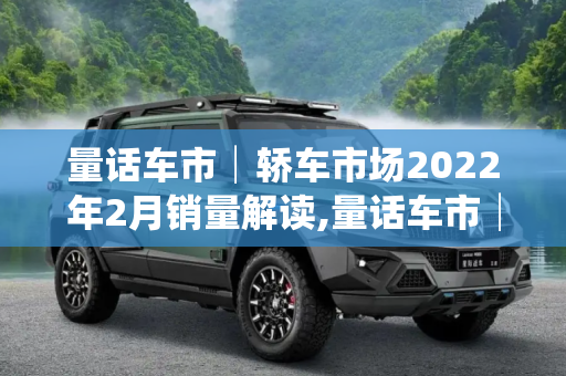 量话车市│轿车市场2022年2月销量解读,量话车市│轿车市场2022年2月销量解读