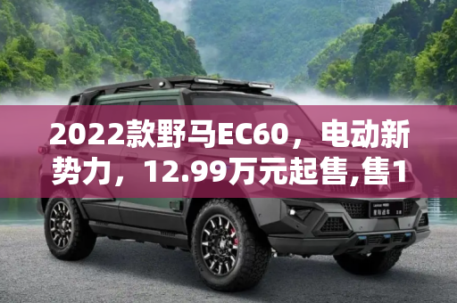 2022款野马EC60，电动新势力，12.99万元起售,售12.99万元 2022款野马EC60正式上市