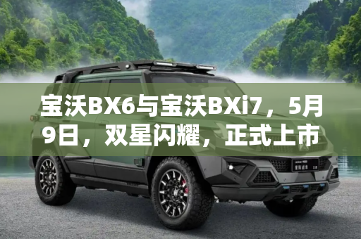 宝沃BX6与宝沃BXi7，5月9日，双星闪耀，正式上市,宝沃BX6/宝沃BXi7将于5月9日正式上市