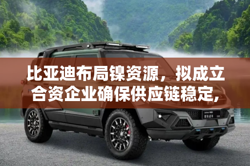 比亚迪布局镍资源，拟成立合资企业确保供应链稳定,保证镍供应 比亚迪拟成立相关合资企业