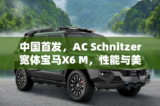 中国首发，AC Schnitzer宽体宝马X6 M，性能与美学的完美结合,中国首发 AC Schnitzer宽体宝马X6 M