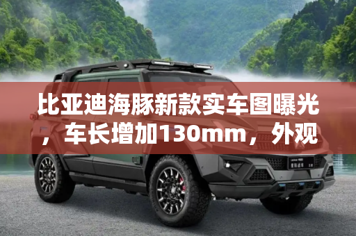 比亚迪海豚新款实车图曝光，车长增加130mm，外观更动感，智驾选装引期待,新款比亚迪海豚实车图 车长增加130mm 外观更动感 可选装智驾