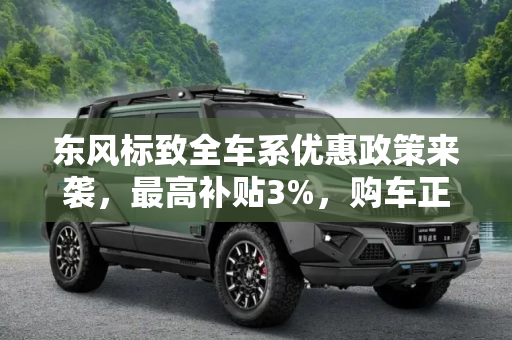 东风标致全车系优惠政策来袭，最高补贴3%，购车正当时！,最高补贴3% 东风标致全车系享优惠政策