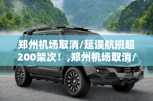 郑州机场取消/延误航班超200架次！,郑州机场取消/延误航班超200架次！