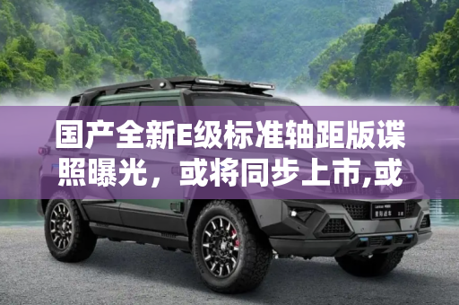 国产全新E级标准轴距版谍照曝光，或将同步上市,或同步上市 国产全新E级标准轴距版谍照