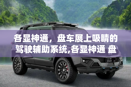 各显神通，盘车展上吸睛的驾驶辅助系统,各显神通 盘车展上吸睛的驾驶辅助系统