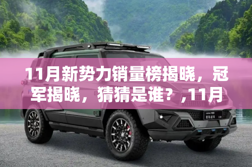 11月新势力销量榜揭晓，冠军揭晓，猜猜是谁？,11月新势力销量榜来了！猜猜冠军是谁？