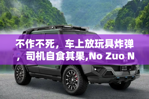 不作不死，车上放玩具炸弹，司机自食其果,No Zuo No Die 车上放玩具炸弹司机被抓