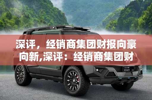 深评，经销商集团财报向豪向新,深评：经销商集团财报向“豪”向“新”