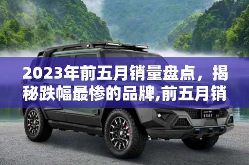 2023年前五月销量盘点，揭秘跌幅最惨的品牌,前五月销量盘点：哪个品牌跌幅最惨