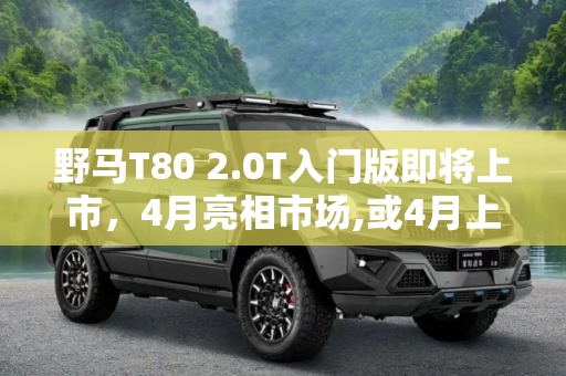 野马T80 2.0T入门版即将上市，4月亮相市场,或4月上市 野马T80将推2.0T入门版车型