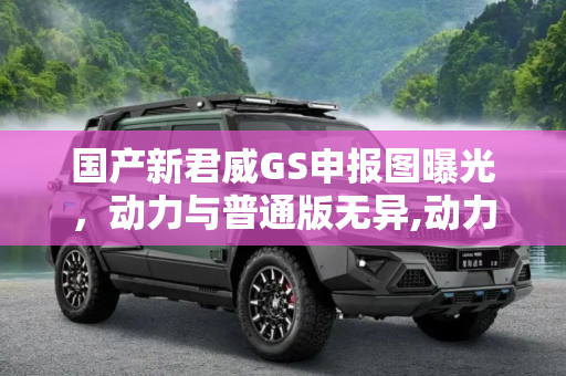 国产新君威GS申报图曝光，动力与普通版无异,动力与普通版无异 国产新君威GS申报图