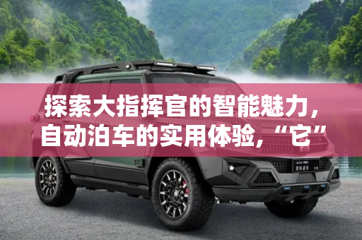 探索大指挥官的智能魅力，自动泊车的实用体验,“它”的确很实用 试大指挥官自动泊车