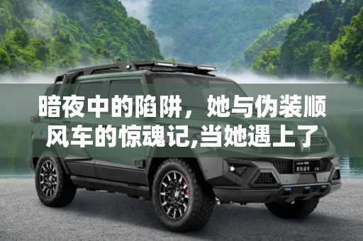 暗夜中的陷阱，她与伪装顺风车的惊魂记,当她遇上了一辆伪装成顺风车的黑车