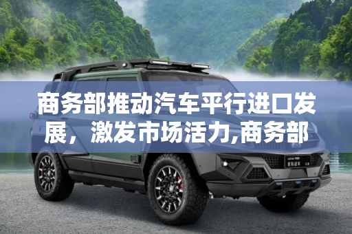 商务部推动汽车平行进口发展，激发市场活力,商务部：进一步促进汽车平行进口发展