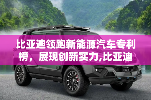 比亚迪领跑新能源汽车专利榜，展现创新实力,比亚迪居第一 新能源汽车专利20强企业