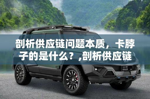 剖析供应链问题本质，卡脖子的是什么？,剖析供应链问题本质，卡脖子的是什么？