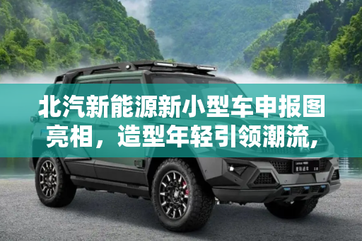 北汽新能源新小型车申报图亮相，造型年轻引领潮流,造型年轻 北汽新能源新小型车申报图