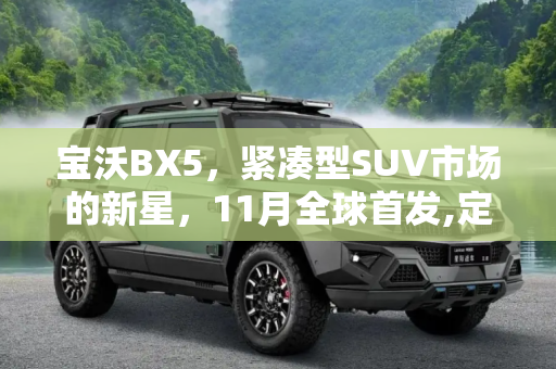 宝沃BX5，紧凑型SUV市场的新星，11月全球首发,定位紧凑型SUV 宝沃BX5量产版11月首发