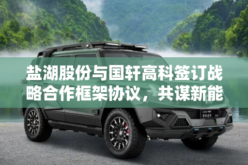 盐湖股份与国轩高科签订战略合作框架协议，共谋新能源产业新发展,盐湖股份与国轩高科签战略合作框架协议