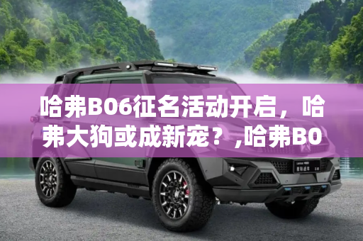 哈弗B06征名活动开启，哈弗大狗或成新宠？,哈弗B06征名活动开始 或命名哈弗大狗？
