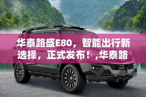 华泰路盛E80，智能出行新选择，正式发布！,华泰路盛E80正式发布
