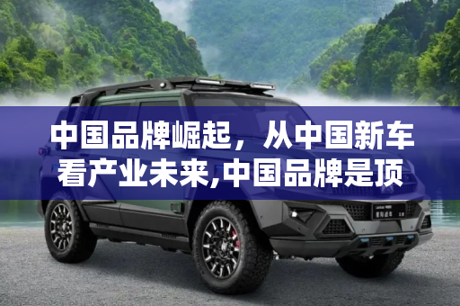中国品牌崛起，从中国新车看产业未来,中国品牌是顶流 从中国新车看产业未来