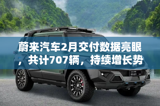 蔚来汽车2月交付数据亮眼，共计707辆，持续增长势头,共计707辆 蔚来汽车公布2月交付数据