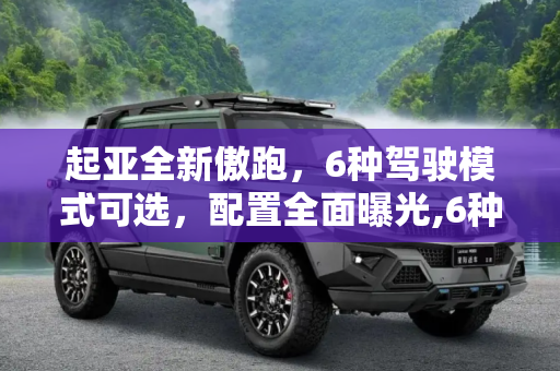 起亚全新傲跑，6种驾驶模式可选，配置全面曝光,6种驾驶模式可选 起亚全新傲跑配置曝光