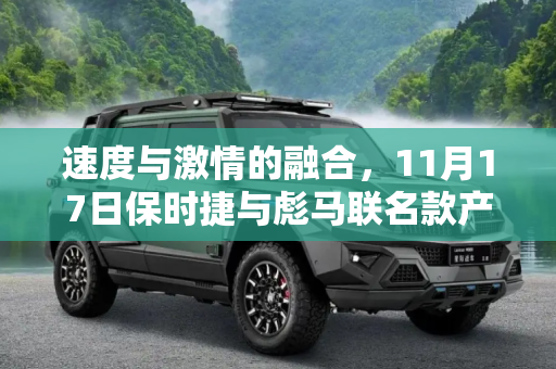 速度与激情的融合，11月17日保时捷与彪马联名款产品发售,11月17日 保时捷与彪马联名款产品发售