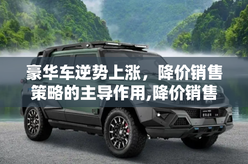 热榜 第80页