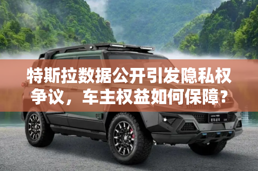 特斯拉数据公开引发隐私权争议，车主权益如何保障？,车主：特斯拉未经同意公布数据侵犯隐私