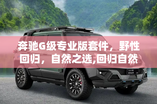 奔驰G级专业版套件，野性回归，自然之选,回归自然野性 奔驰G级专业版套件官图